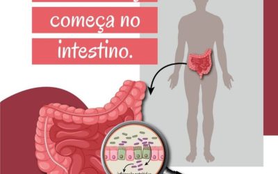 A saúde intestinal faz toda a diferença