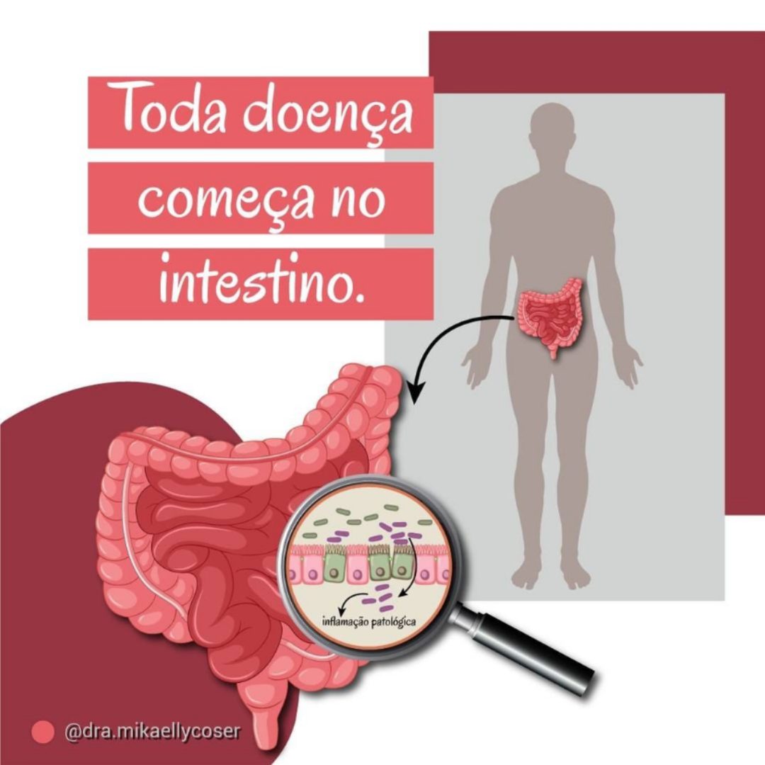 A saúde intestinal faz toda a diferença